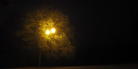L'Arbre et le lampadaire