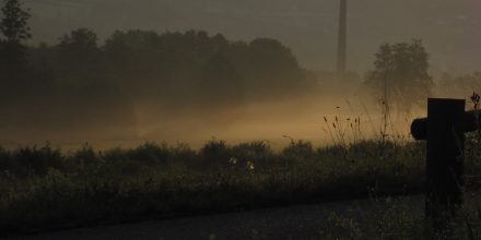 Brume Matinale