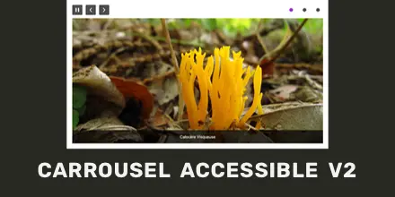 Carrousel accessible v2