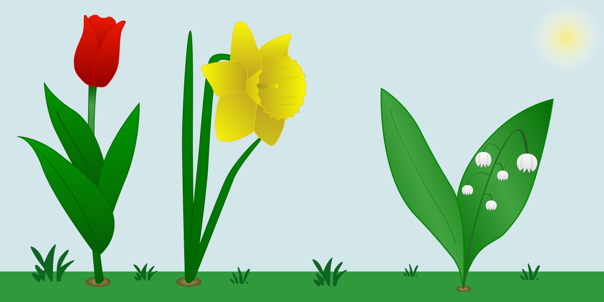 Fleurs de printemps