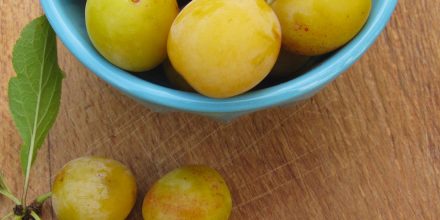 Mirabelles de Lorraine
