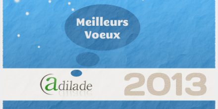 Voeux 2013