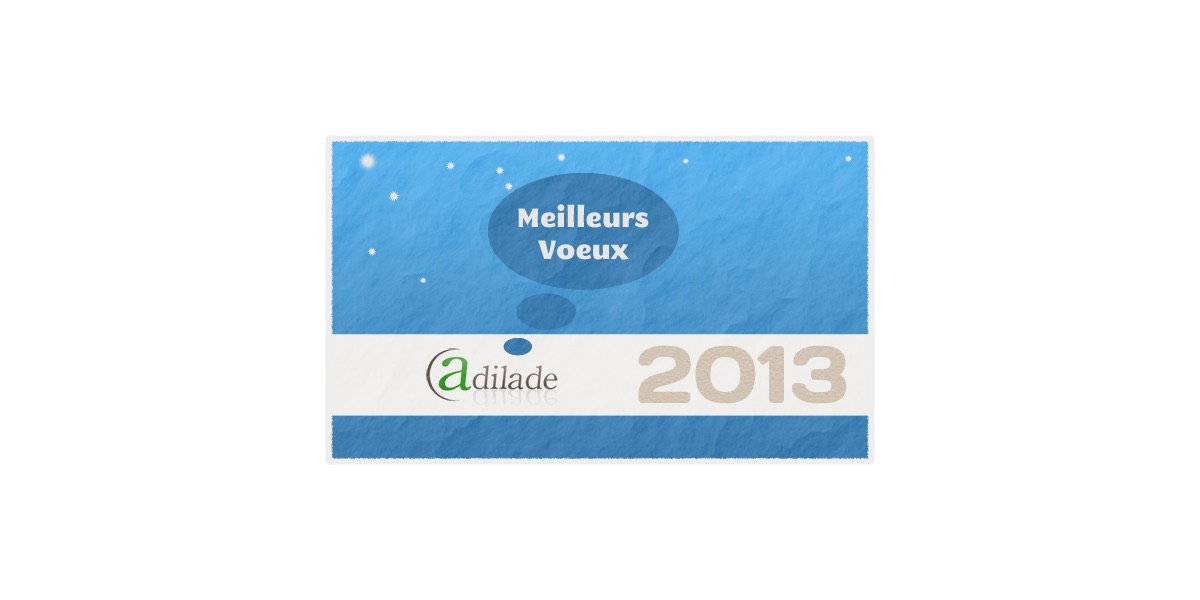 Voeux 2013