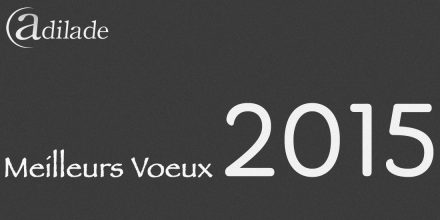Voeux 2015
