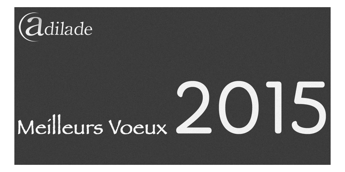 Voeux 2015