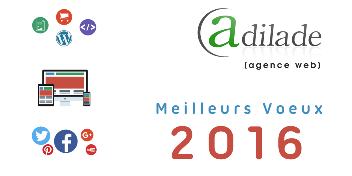 Voeux 2016