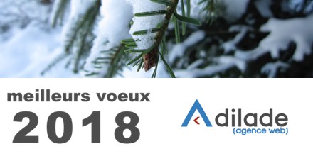 Voeux 2018