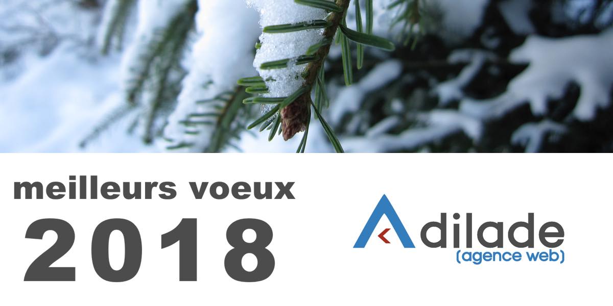 Voeux 2018