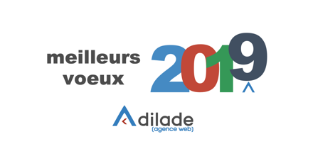 Voeux 2019